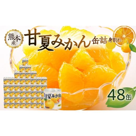 ふるさと納税 缶詰・瓶詰 くだもの 福岡県 八女市 甘夏みかん 缶詰 24缶入り×2箱 計48缶 セット (身割れ) みかん 国産