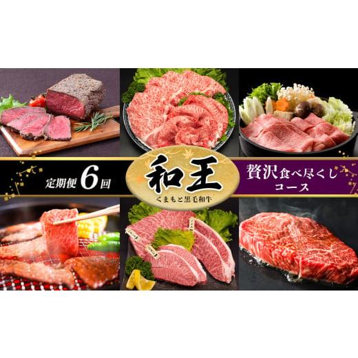 ふるさと納税 熊本県 玉名市 [ 定期便 6回 ] 和王 贅沢食べ尽くしコース A5 等級 牛肉