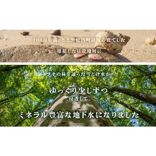 ふるさと納税 北海道 黒松内町 黒松内銘水 水彩の森 500ml×24本（1箱）北海道 ミネラルウォーター｜furusatochoice｜04