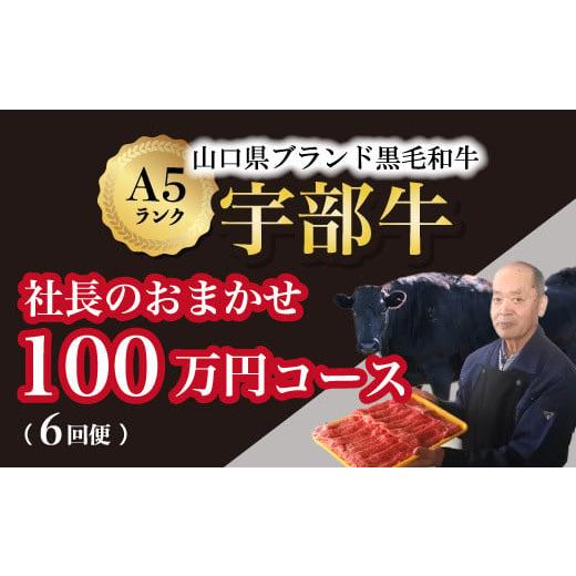 ふるさと納税 山口県 宇部市 [山口宇部牛]社長おまかせプレミアム定期便[6回便][100万円コース]黒毛和牛A5ランク宇部牛