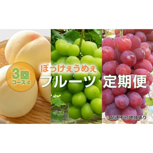 ふるさと納税 岡山県 里庄町 桃 ぶどう 2024年 先行予約 ぼっけぇうめぇ フルーツ 定期便 3回 コース -2 もも モモ 葡萄 ブドウ 岡山県 果物 岡山県 里庄町 1房