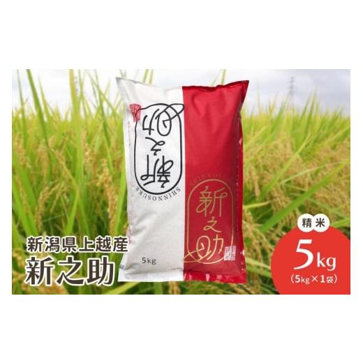 ふるさと納税 米 新潟県 上越市 令和7年・新潟県上越産|新潟ブランド米「新之助」 精米5kg