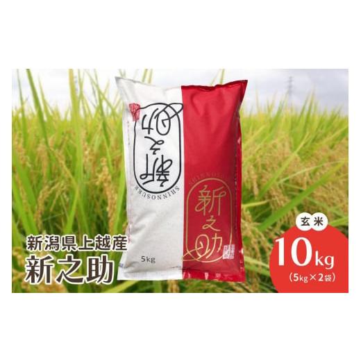 ふるさと納税 玄米 新潟県 上越市 令和7年・新潟県上越産|新潟ブランド米「新之助」 玄米10kg(5kg×2袋)