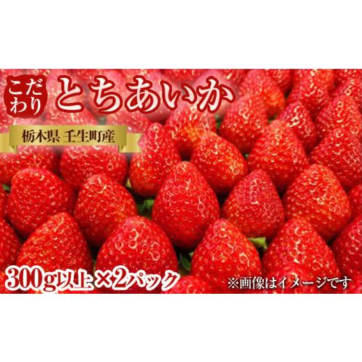 ふるさと納税 栃木県 壬生町 栃木県産 こだわり とちあいか[300g以上×2パック]| 家庭用 完熟 朝摘み 苺 いちご イチゴ とちあいか 果物 フルーツ 秀品 贈答…