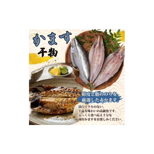 ふるさと納税 干物 静岡県 下田市 干物 詰合せ E仕かける 定期便 ２ヶ月 ２回 干物仕かける 7種 17枚 4剥き身 値打ち鯛 大騒ぎ さば さんま 味醂干 かます いか 詰め合わ…