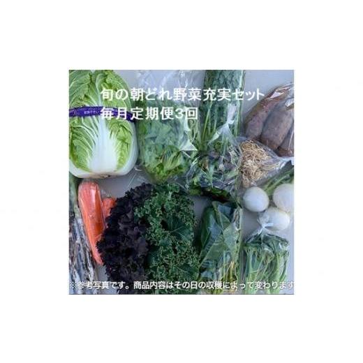 ふるさと納税 セット・詰合せ 埼玉県 川越市 旬の朝どれ野菜充実セット×3回 ／ やさい 朝採れ 埼玉県_1