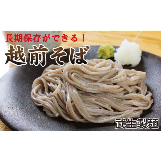 ふるさと納税 そば 生・半生めん 福井県 越前市 創業90余年の老舗・武生製麺 常温で長期保存できる「越前そば」10食 通常配送