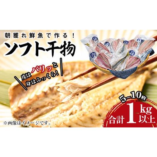 ふるさと納税 干物 宮崎県 門川町 朝獲れ鮮魚で作る 魚屋さんの自家製ソフト干物 合計1kg以上(5〜10枚)アジ イワシ カマス イカ タイ ブリカマ セット 詰め合…