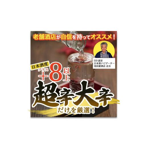 ふるさと納税 日本酒 純米大吟醸酒 円錐小体県 酒田市  5回定期便 湊酒田の地酒 ドライ配分会 720ml×1本(全5回) SE0150