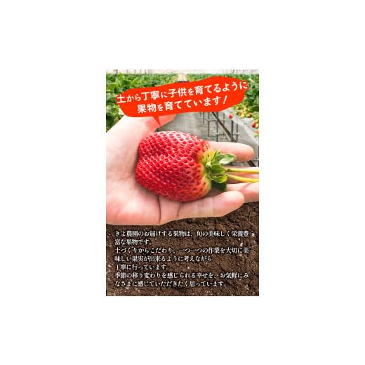 ふるさと納税 和歌山県 紀の川市 【先行予約】希少！まりひめ　特大サイズ　約300g〜350g×2パック きよ農園《2025年2月上旬-3月下頃出荷》 いちご 苺 まりひ…｜furusatochoice｜05