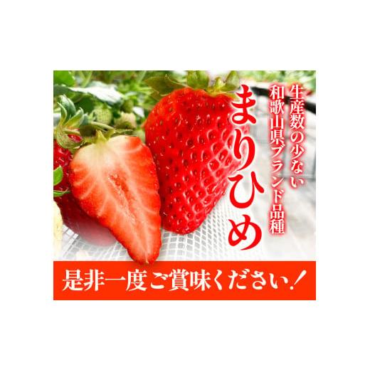 ふるさと納税 和歌山県 紀の川市 【先行予約】希少！まりひめ　特大サイズ　約300g〜350g×2パック きよ農園《2025年2月上旬-3月下頃出荷》 いちご 苺 まりひ…｜furusatochoice｜07