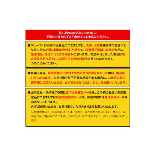 ふるさと納税 和歌山県 紀の川市 【先行予約】希少！まりひめ　特大サイズ　約300g〜350g×2パック きよ農園《2025年2月上旬-3月下頃出荷》 いちご 苺 まりひ…｜furusatochoice｜08