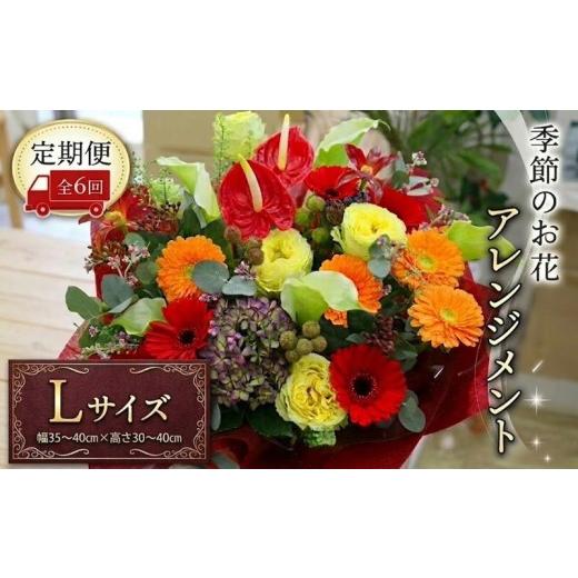 ふるさと納税 雑貨・日用品 花 茨城県 筑西市 定期便 6ヶ月 毎月届く 季節の アレンジメント Lサイズ 花 生花 6回 おうち時間 定期便 新生活 応援 Lサイズ:…