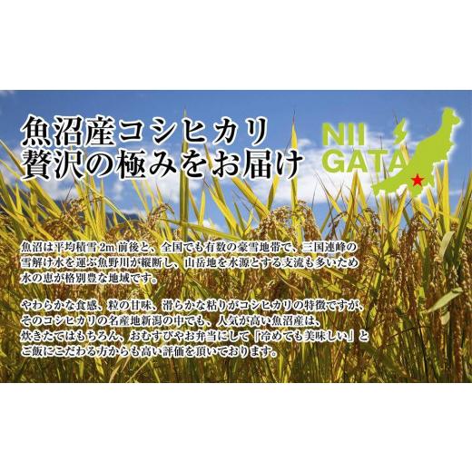 ふるさと納税 米 コシヒカリ 新潟県 - DH06 「無洗米」 新潟県 魚沼産 コシヒカリ お米 20kg こしひかり 精米 米（お米の美味しい炊き方ガイド付き）の画像