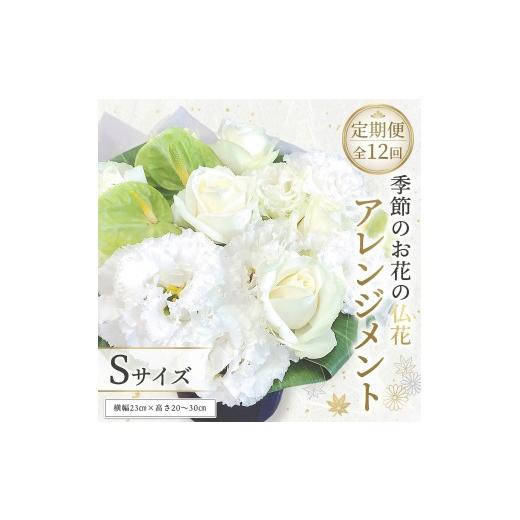 ふるさと納税 雑貨・日用品 花 茨城県 筑西市 定期便12ヶ月 毎月届く 仏花 アレンジメント Sサイズ 花 生花 1年間 お供え 命日 月命日 定期便 定期便12回:S…