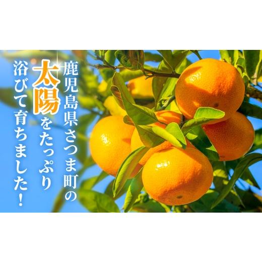 ふるさと納税 果物類 みかん 鹿児島県 さつま町 鹿児島県産 新生十万みかん 約5kg 祝迫果樹園《1月中旬-2月中旬頃出荷》鹿児島県 さつま町 みかん 十万みかん …_3