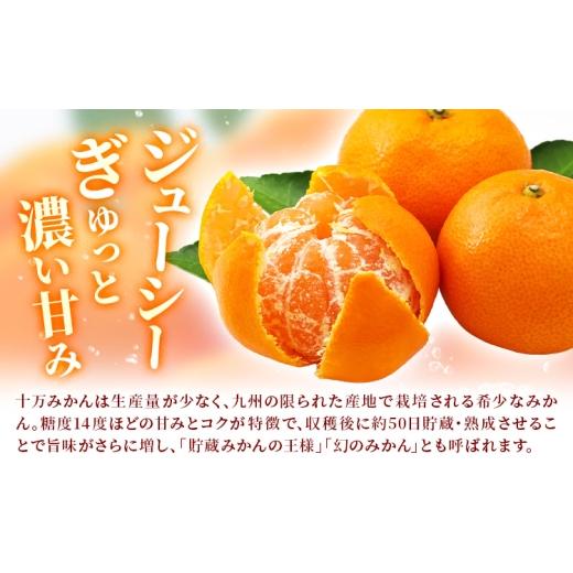 ふるさと納税 果物類 みかん 鹿児島県 さつま町 鹿児島県産 新生十万みかん 約5kg 祝迫果樹園《1月中旬-2月中旬頃出荷》鹿児島県 さつま町 みかん 十万みかん …_4