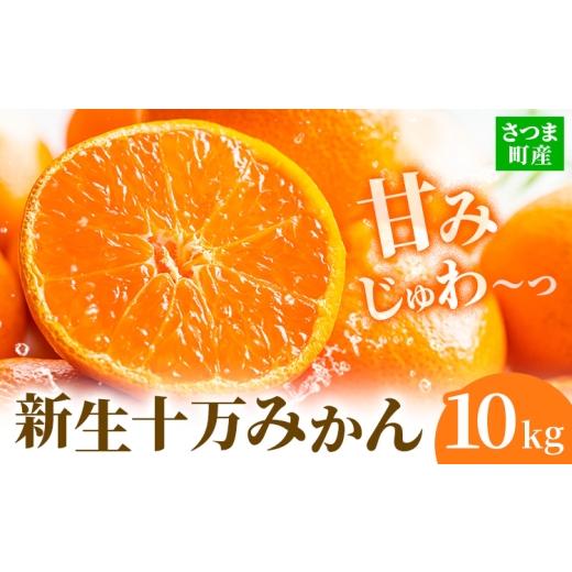 ふるさと納税 果物類 みかん 鹿児島県 さつま町 鹿児島県産 新生十万みかん 約10kg 祝迫果樹園[1月中旬-2月中旬頃出荷]鹿児島県 さつま町 みかん 十万みかん…