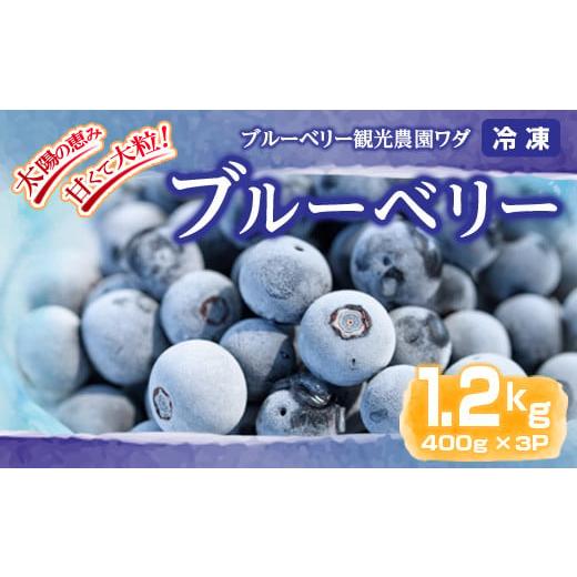 ふるさと納税 鹿児島県 鹿屋市 141-2 冷凍ブルーベリー 1.2kg[400g×3P]