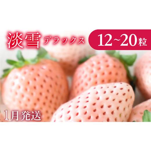 ふるさと納税 いちご 茨城県 鉾田市 1月発送 いちご 淡雪DX 1箱(12〜20粒) 1月発送