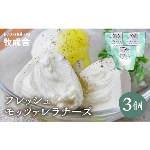 ふるさと納税 加工品等 チーズ 岐阜県 飛騨市 チーズ フレッシュモッツァレラチーズ 3個 冷蔵 小分け 個包装 カプレーゼ パスタ ピザ おつまみ 前菜 サラダ 低…