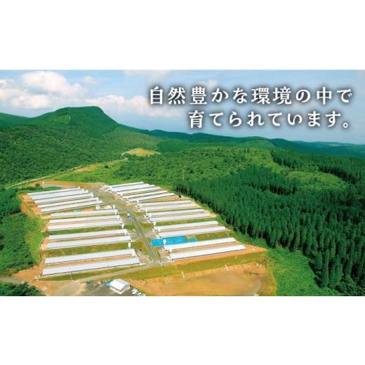ふるさと納税 鶏肉 手羽 佐賀県 吉野ヶ里町  全6回定期便 煮物やBBQ、カレーに みつせ鶏手羽元開き（バラ凍結）420g×5袋 吉野ヶ里町／ヨコオフーズ FAE147_8