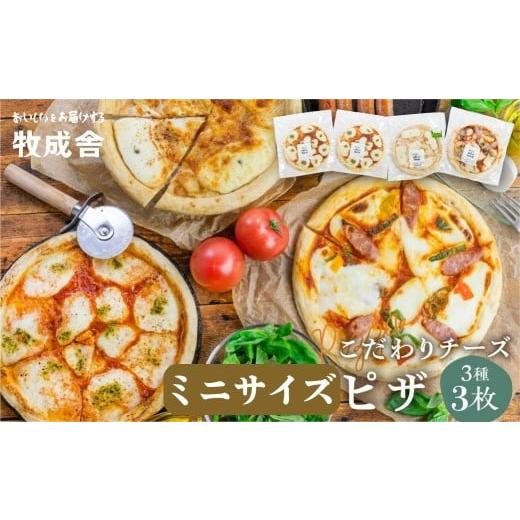 ふるさと納税 総菜パン・バーガー等 岐阜県 飛騨市 ミニピザ3種3枚セット 自家製チーズたっぷりミニピザ3種3枚セット(直径19cm) ピザ 冷凍 人気 マルゲリータ…