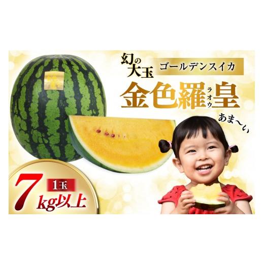 ふるさと納税 スイカ 長崎県 島原市 ペルピンズさんにご紹介いただきました 令和9年度出荷分 幻のゴールデンスイカ 〜金色羅皇(ラオウ)〜(7kg以上) 先行予…