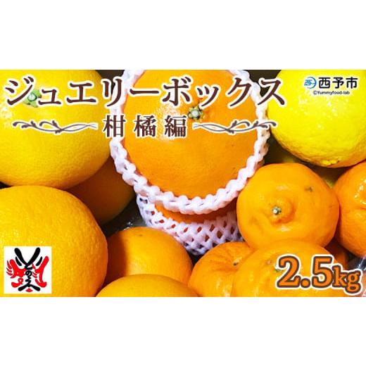 ふるさと納税 果物類 みかん 愛媛県 西予市 愛媛県明浜産 ジュエリーボックス(柑橘編)2.5kg 1月配送 令和8年1月配送