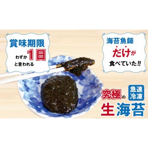 ふるさと納税 佐賀県 小城市 氷結 有明海産「おさしみ生海苔」（20g×4袋）乃市商店｜furusatochoice｜03