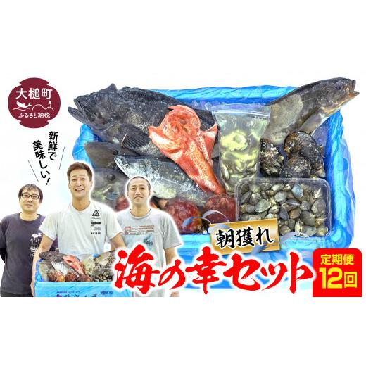 ふるさと納税 旬の鮮魚等 岩手県 大槌町  定期便12回 朝獲れ海の幸セット（旬の鮮魚、海藻などの詰合せ）｜鮮魚セット 鮮魚定期便 福袋 鮮魚 詰め合わせ 海鮮 …_1