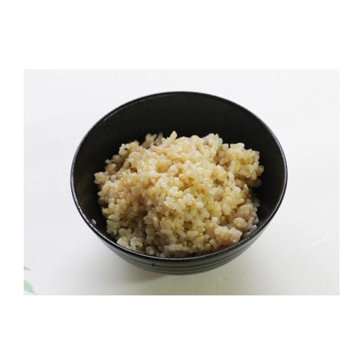 秋冬の主役◎ ふるさと納税 岡山県 西粟倉村 【6回定期便】玄米 30kg 令和5年産 コシヒカリ 岡山 あわくら米米倶楽部 K-ad-CCZA 【MYK2575451780】(90720円)