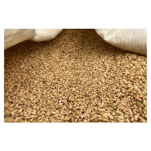 秋冬の主役◎ ふるさと納税 岡山県 西粟倉村 【6回定期便】玄米 30kg 令和5年産 コシヒカリ 岡山 あわくら米米倶楽部 K-ad-CCZA 【MYK2575451780】(90720円)