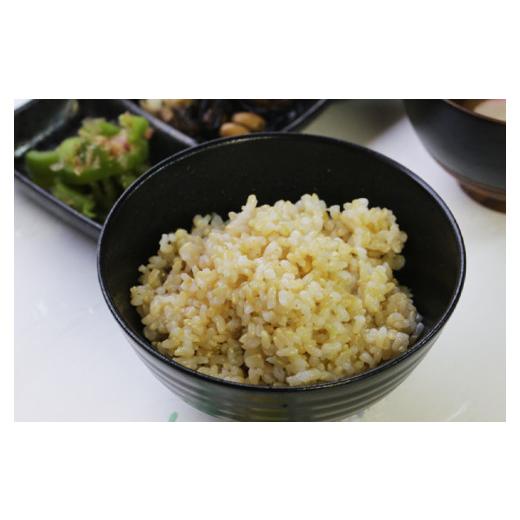 秋冬の主役◎ ふるさと納税 岡山県 西粟倉村 【6回定期便】玄米 30kg 令和5年産 コシヒカリ 岡山 あわくら米米倶楽部 K-ad-CCZA 【MYK2575451780】(90720円)