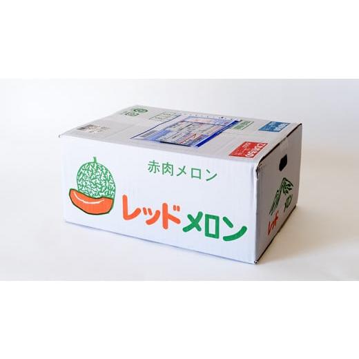 ふるさと納税 茨城県 八千代町 【 令和6年産 】【 先行予約 6月上旬以降発送 】タカミレッドメロン 秀品 1箱 2玉入り 8000円 飯岡 メロン 貴味 タカミ 赤肉 果…｜furusatochoice｜08