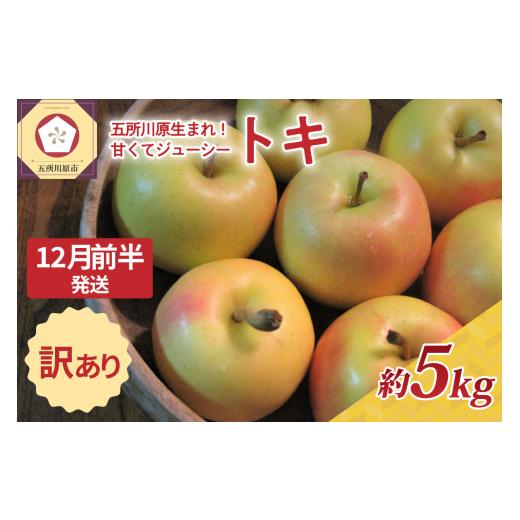 ふるさと納税 りんご 青森県 五所川原市 2025年12月前半発送 訳あり トキ 約5kg 12月前半発送(1日〜15日)