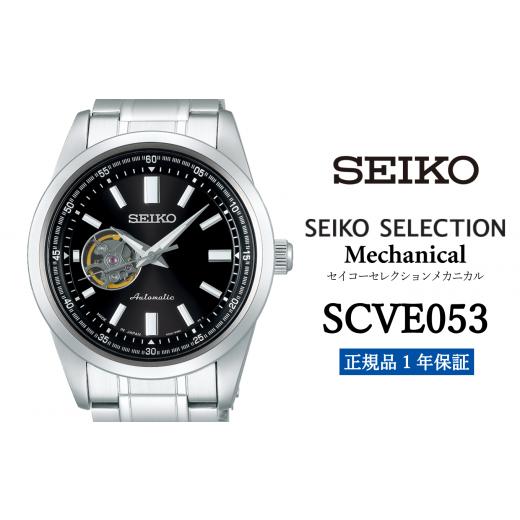 ふるさと納税 岩手県 遠野市 セイコー腕時計 メンズ セイコー セレクション メカニカル[SCVE053] SEIKO[正規品 1年保証] 時計 腕時計