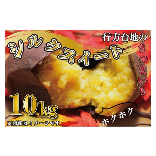 ふるさと納税 野菜類 サツマイモ 茨城県 行方市  緊急支援品 2026年4月下旬より順次発送 訳あり 無選別 行方台地のさつまいも 熟成シルクスイート 約10kg｜さ…の画像
