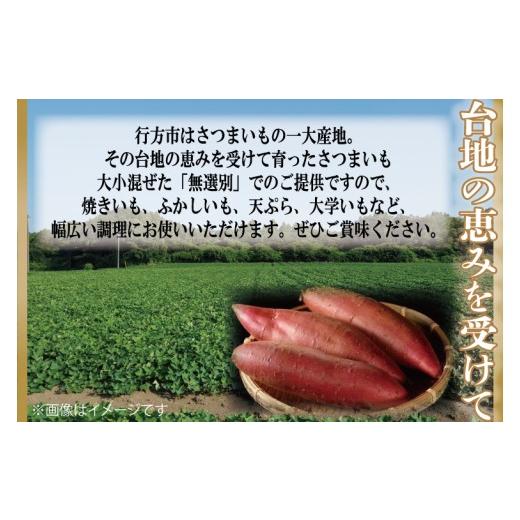 ふるさと納税 野菜類 サツマイモ 茨城県 行方市  緊急支援品 2026年4月下旬より順次発送 訳あり 無選別 行方台地のさつまいも 熟成シルクスイート 約10kg｜さ…の画像
