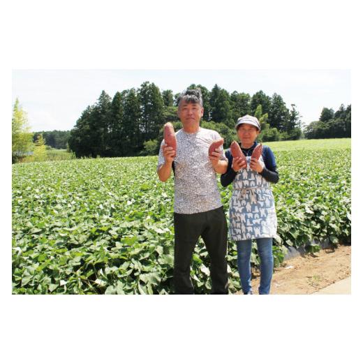 ふるさと納税 野菜類 サツマイモ 茨城県 行方市  緊急支援品 2026年4月下旬より順次発送 訳あり 無選別 行方台地のさつまいも 熟成シルクスイート 約10kg｜さ…の画像