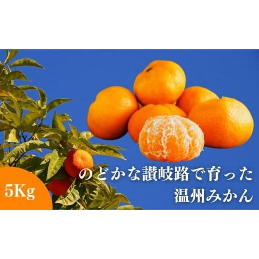 ふるさと納税 みかん・柑橘類 香川県 丸亀市 11月中旬以降発送開始 みかん のどかな讃岐路で育った 温州みかん 約 5kg ミカン みかん人気 ミカン人気 みかん…