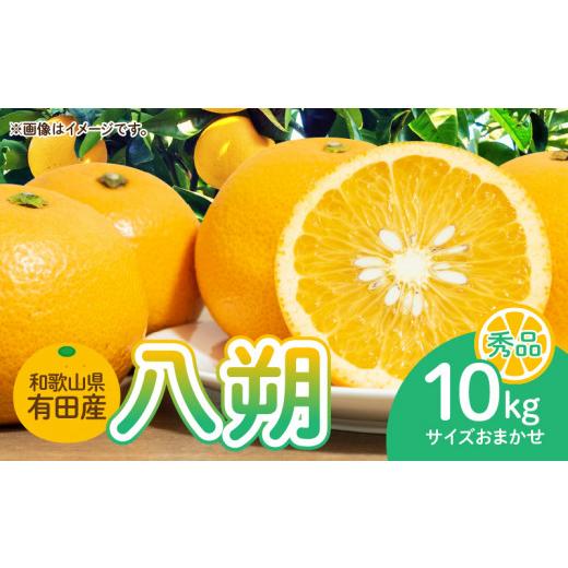 ふるさと納税 みかん・柑橘類 和歌山県 湯浅町 DI6014n_和歌山県有田産 八朔 10kg 秀品