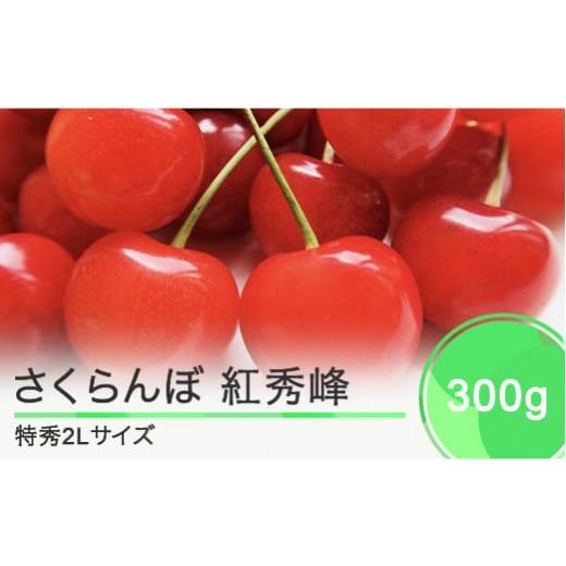 ふるさと納税 山形県 大石田町 さくらんぼ 紅秀峰 特秀2Lサイズ 300g プレゼント ギフト 化粧箱鏡詰め 2024年産 令和6年産 山形県産 ns-bst2x300