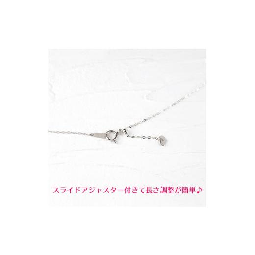 ふるさと納税 アクセサリー ネックレス 山梨県 昭和町  純プラチナ ネックレス 45cm チェーン のみ 造幣局検定刻印付 ネックレス プラチナ pt999 アズキチェー…の画像