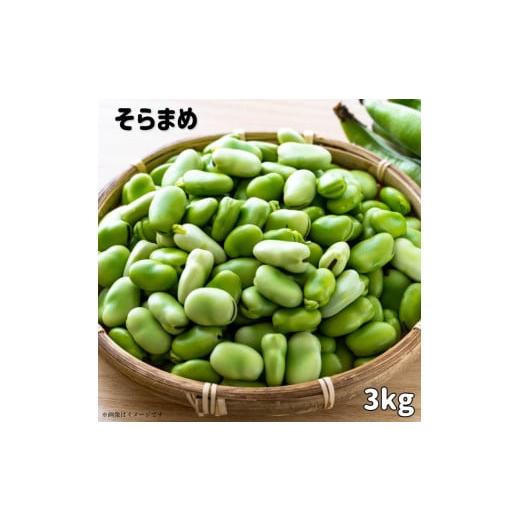 ふるさと納税 豆類 千葉県 匝瑳市 文ちゃん農園の天豆(そらまめ)約3kg / そら豆 そらまめ ソラマメ 空豆 天豆 豆 産地直送 野菜 3kg 千葉県 送料無料