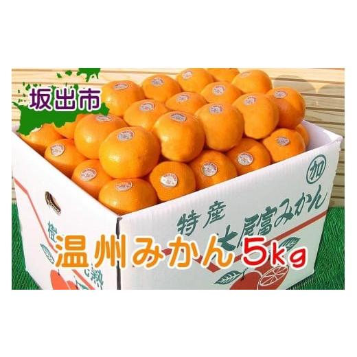 ふるさと納税 果物類 みかん 香川県 坂出市 先行受注 温州みかん 香川産 約5kg ( S 〜 Lサイズ ) | みかん 味濃い