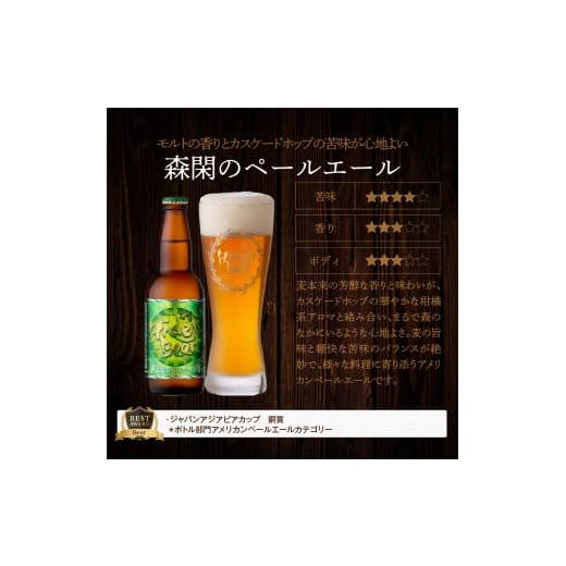 ふるさと納税 ビール 地ビール 宮崎県 延岡市  6ヶ月定期便 宮崎ひでじビールお楽しみ６本セット N073-YZE057_5