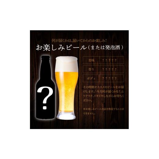 ふるさと納税 ビール 地ビール 宮崎県 延岡市  6ヶ月定期便 宮崎ひでじビールお楽しみ６本セット N073-YZE057_7