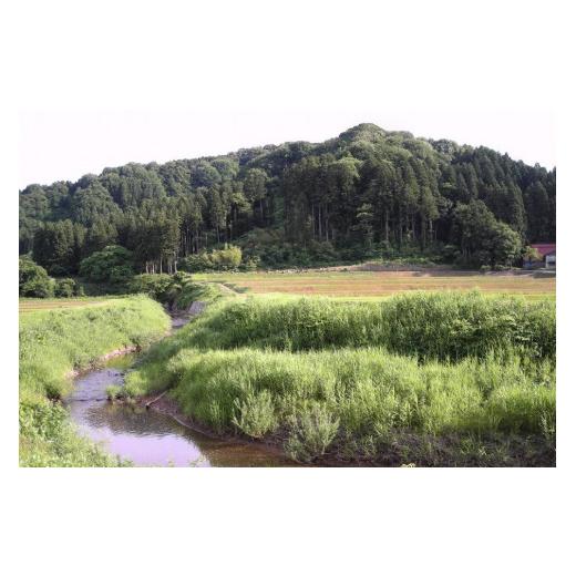 【新品 未使用 日本製】 ふるさと納税 新潟県 上越市 「12カ月連続発送定期便」新潟県認証減農薬米／特別栽培米コシヒカリ 精米5kg（1袋） 【IQY2607527666】(91850円)