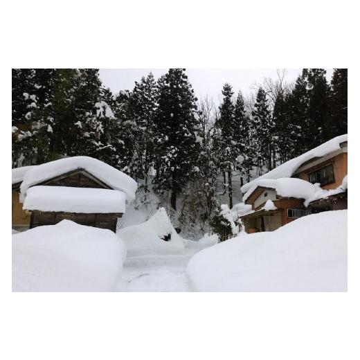 【新品 未使用 日本製】 ふるさと納税 新潟県 上越市 「12カ月連続発送定期便」新潟県認証減農薬米／特別栽培米コシヒカリ 精米5kg（1袋） 【IQY2607527666】(91850円)